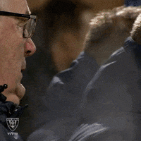 Fortuna Sittard Gif Find Share On Giphy