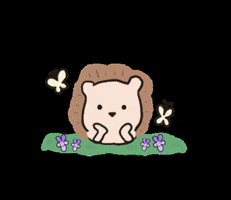 ハリネズミ GIF