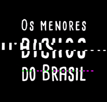 Os menores bichos do Brasil GIF
