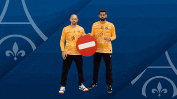 Rodrigo Corrales Fun GIF by Paris Saint-Germain Handball
