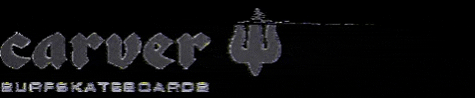 surfskateboards GIF