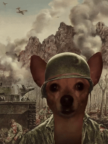 War Stare GIF