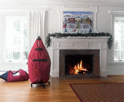 Christmastree GIF by Balsam Hill