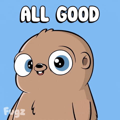 Happy No Problem GIF by Fugz Official