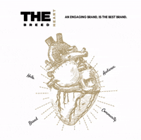 breedtheagency breed breedtheagency GIF