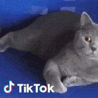 Cianci - Pagina 2 200.gif?cid=a0a8deb3bb3l7wrgmxzsi4djvzkgkht6cgvm0nmhsci739pb&rid=200