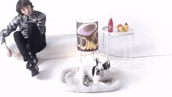 Oh Yeah Dog GIF by PC Music