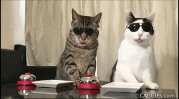 Food GIF