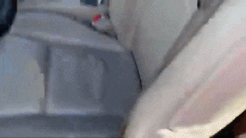 Moving Day Thumbs Up GIF by Dos Cocos Locos Productions