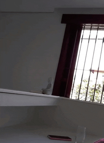 casaiara GIF