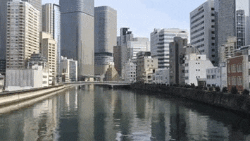 Osaka Japan City GIF by mililand