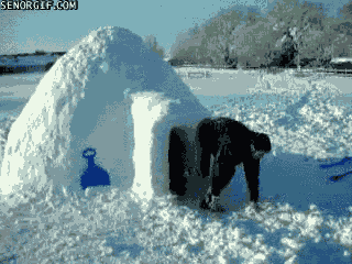 loop house GIF