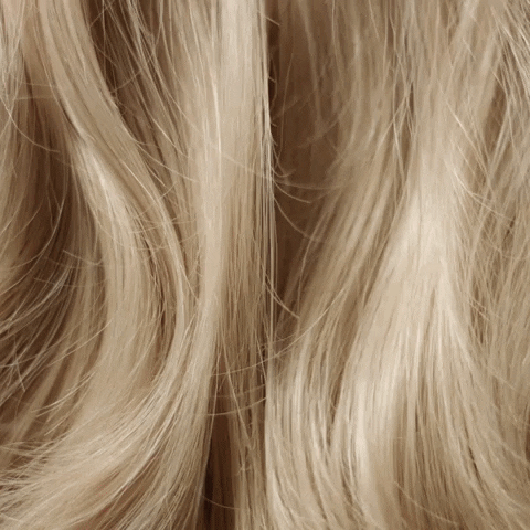 RevlonProfessional hair hairdressing revlonprofessional GIF