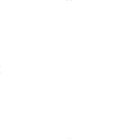 HOLESHOT PUNX Sticker