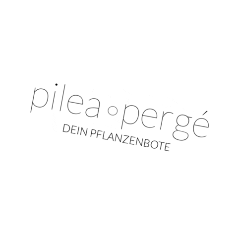 pileaperge Sticker