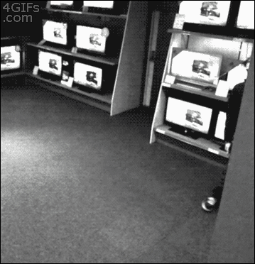 home video thief GIF