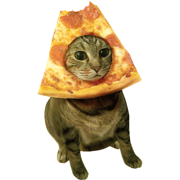 Cats Eating Pizza Gif
