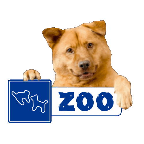 ZOO Pet Shop Sticker