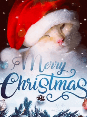 Merry Christmas Cat GIF