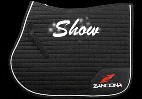 Zandonà - Protect Your Passion GIF