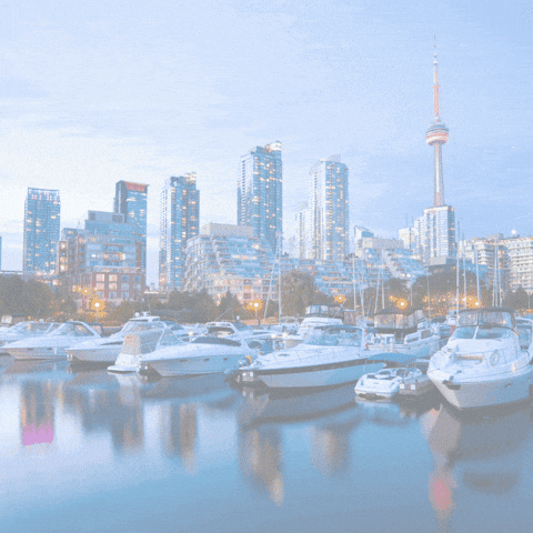 Best Canada Tourist Visa GIF