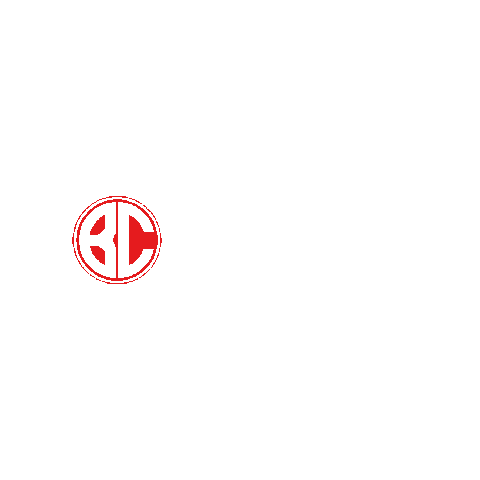 Brazil Combat USA Sticker