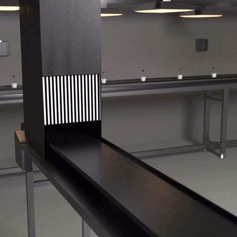 On Chain Smokers GIF