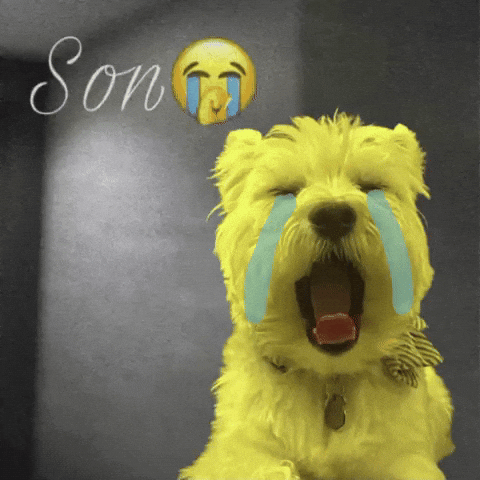Dog Crying GIF
