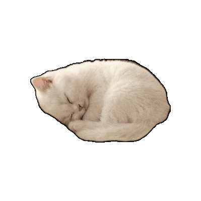 Cat Momo Sticker