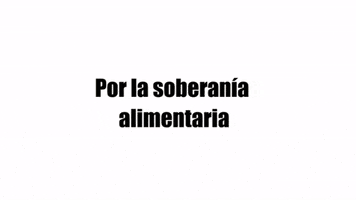 iago_mx  GIF