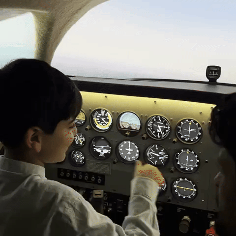 Fly GIF