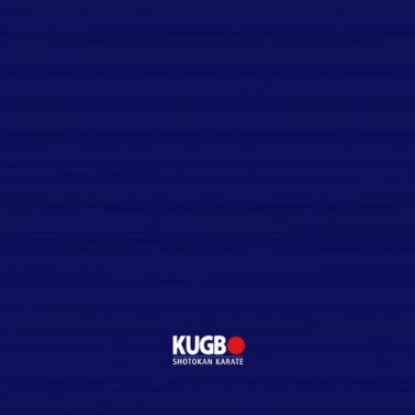 Winner GIF