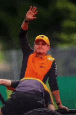 Lando Norris GIF