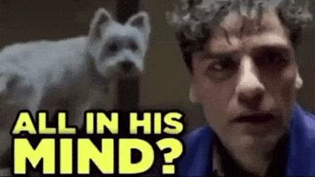 Scared Dog GIF