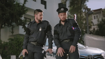 roneidesousa tudobom staticandbeneltavori #tudobom GIF