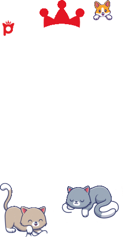 Pet Frame Sticker by Petlebi