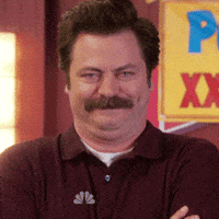 ron swanson smile GIF
