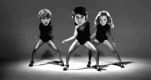 potter comp GIF