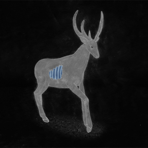 Ghost Deer GIF by Trevor Anderson