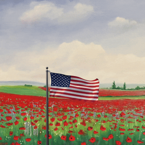 Memorial Day Thank You GIF by Vinnie Camilleri