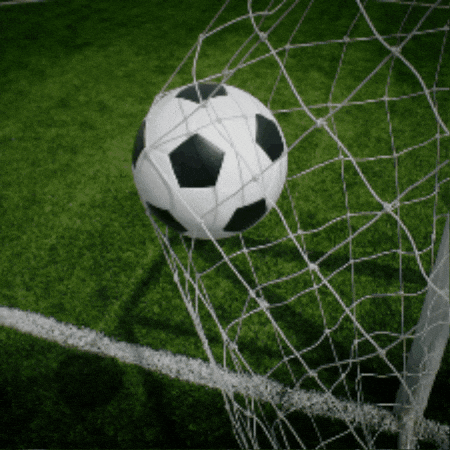 Goal GIF