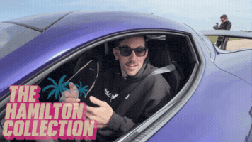 Steve Hamilton GIF by TheHamiltonCollection