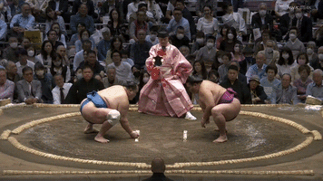 Sumo GIF