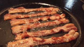 oc bacon GIF