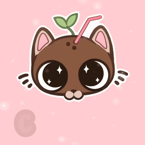Cat Coconut GIF by RoxyOpalGM