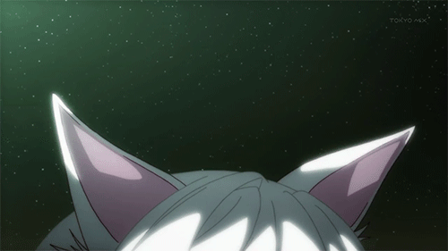 Cat Ears Gif Find Share On Giphy