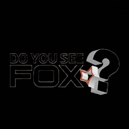 Lija GIF by FOX electronics