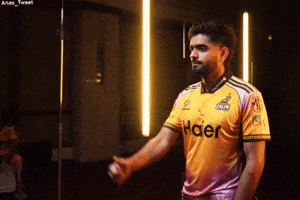 Peshawar Zalmi Ok GIF