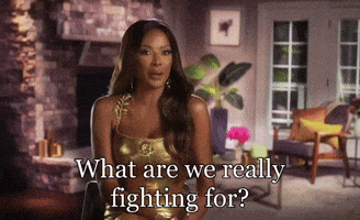 What Are We Really Fighting For GIF