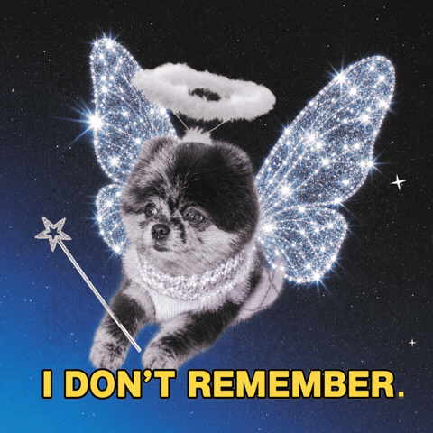 Dog Puppy GIF by Paris Hilton
